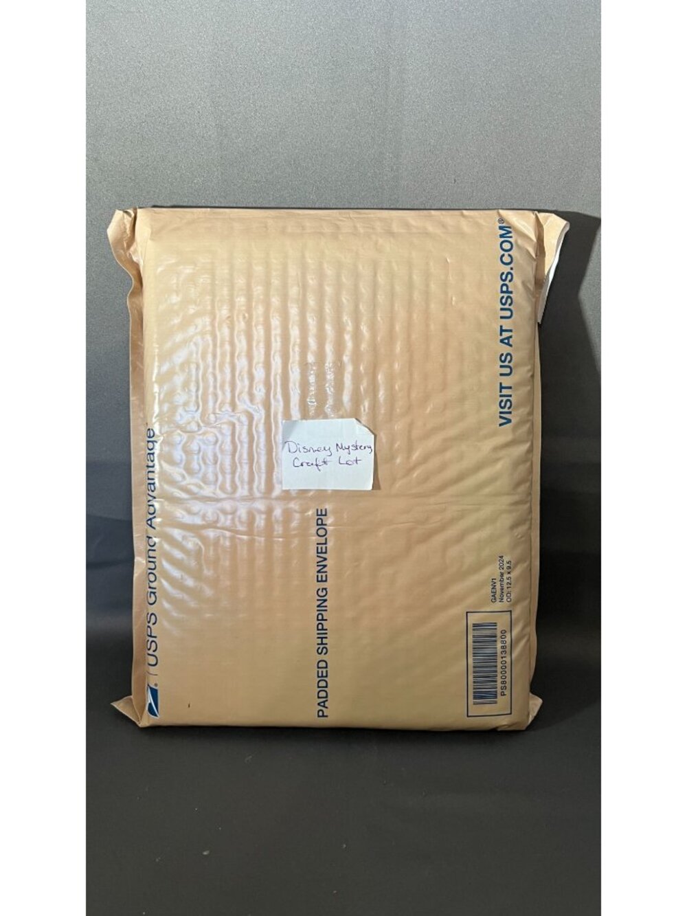 Disney-Themed Mystery Craft Lot Envelope